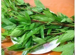 Gongura Pickle - Homemade - AAMCHILLI