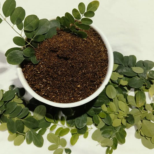 Moringa and Chilli Powder - Munagaku Karampodi